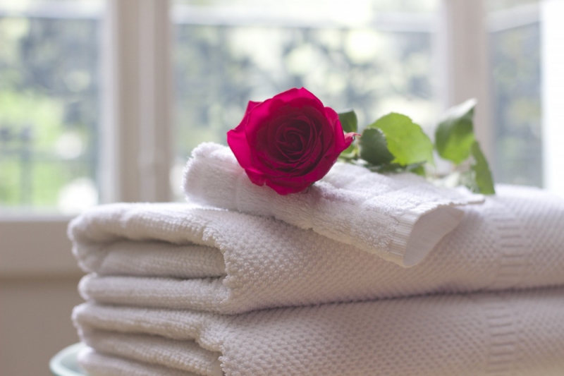 hotel-ST MARTIN VESUBIE-min_towel_rose_clean_care_salon_spa_white_bath-731641